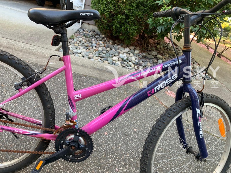 260503113823_Ross 24 inch bike 2O5.jpeg